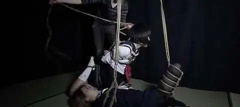 西檬之家字母圈女王属性是什么? 一