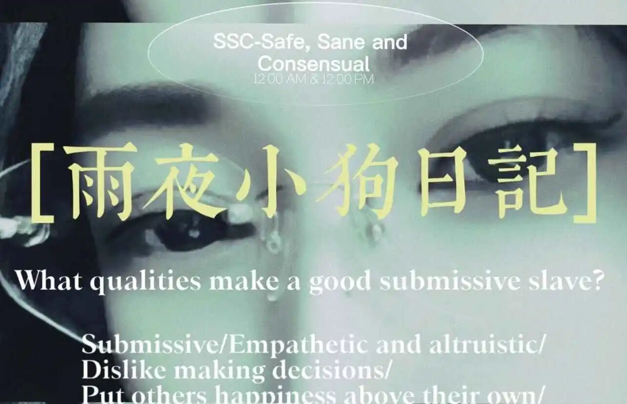 西檬之家brat属性解析 一