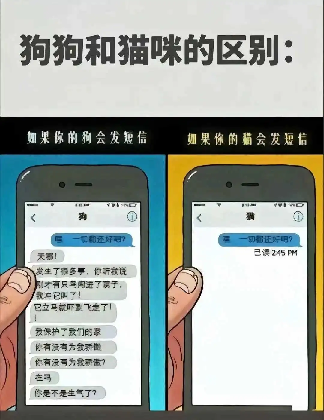 西檬之家字母圈sub是什么? 一