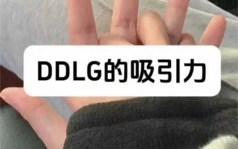 西檬之家k9是什么?你的字母圈身份是什么? 一