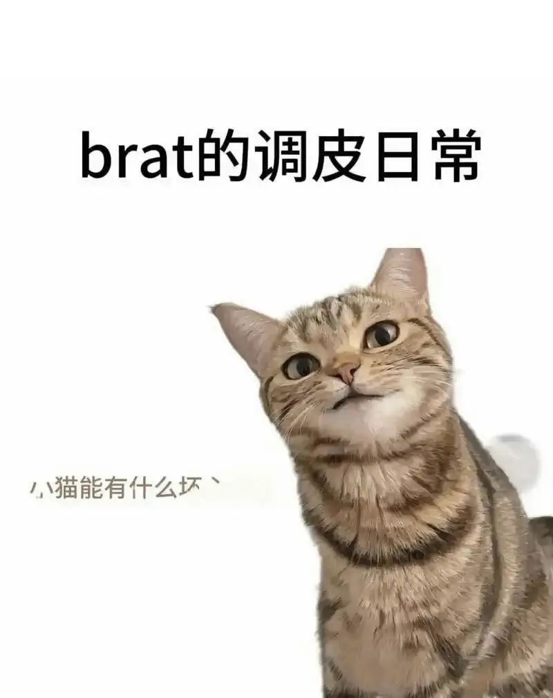 西檬之家spank是什么?字母圈Sp入门指南 一