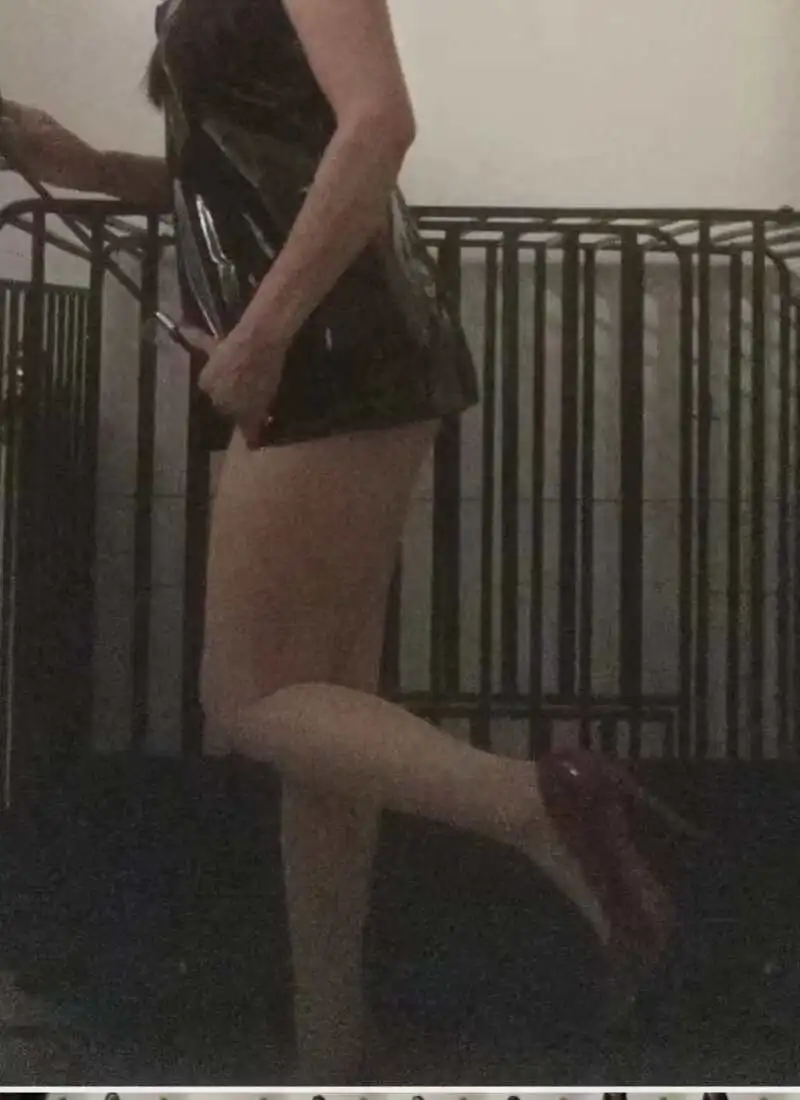 西檬之家s属性是什么意思 一