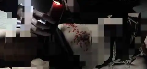 西檬之家s属性是什么意思? 一