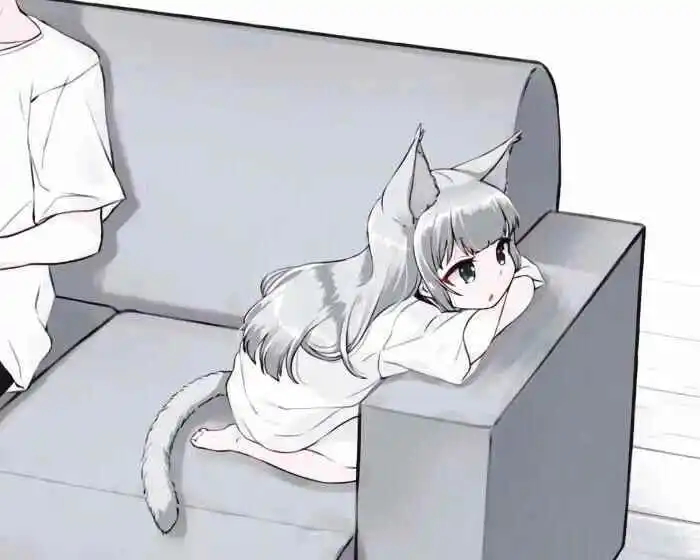 西檬之家什么是brat属性? 一