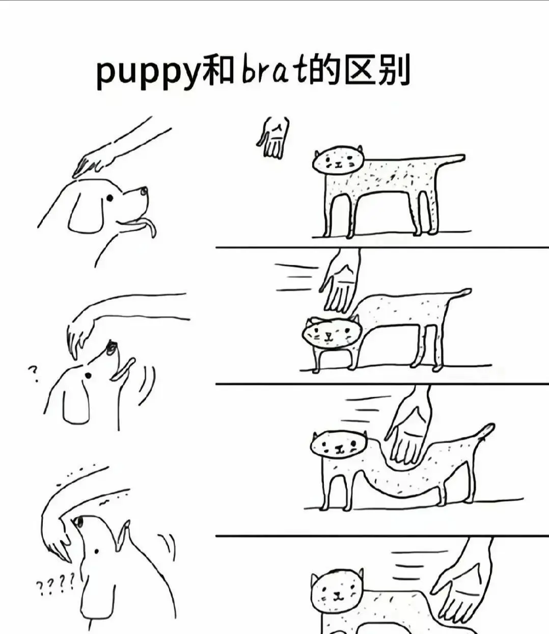西檬之家Dirty Talk是什么?字母圈新人必看 一