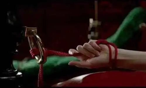 西檬之家s属性是什么意思?BDSM字母圈身份解读 一