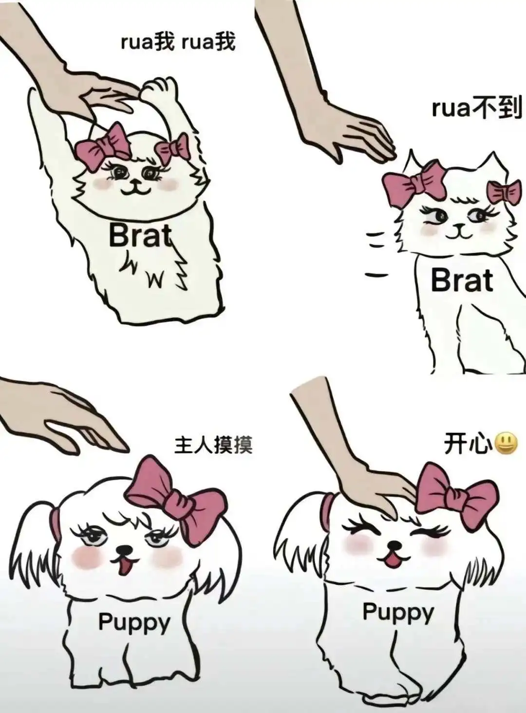 西檬之家Dom和S有什么区别?字母圈新人入圈 一